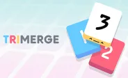TriMerge img